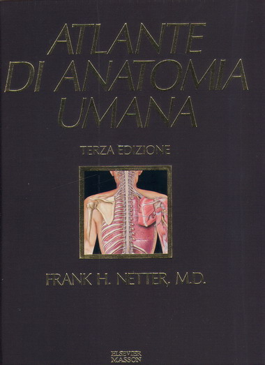 Netter - Atlante di Anatomia Umana (ms2976) + IN OMAGGIO Netter - Guida alla lettura dell’Atlante di Anatomia Umana, Cocco (euro